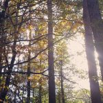Mein September und Oktober in Bildern
