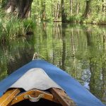 Mein Mai und Juni in Bildern | Monatsrückblick